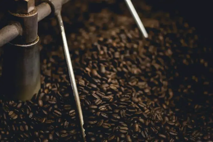 Coffee beans in a processor