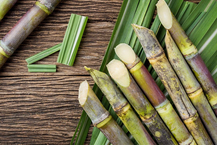 Sugar cane on a wooden table.