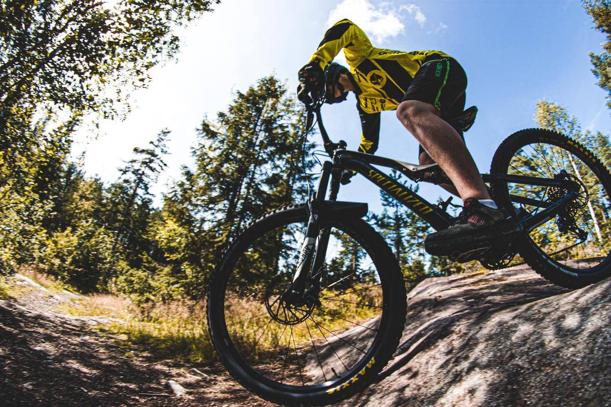 Guide to Choosing the Best Energy Drinks for Mountain Biking