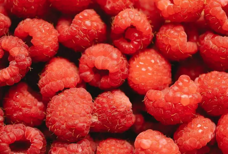 A picture of raspberries
