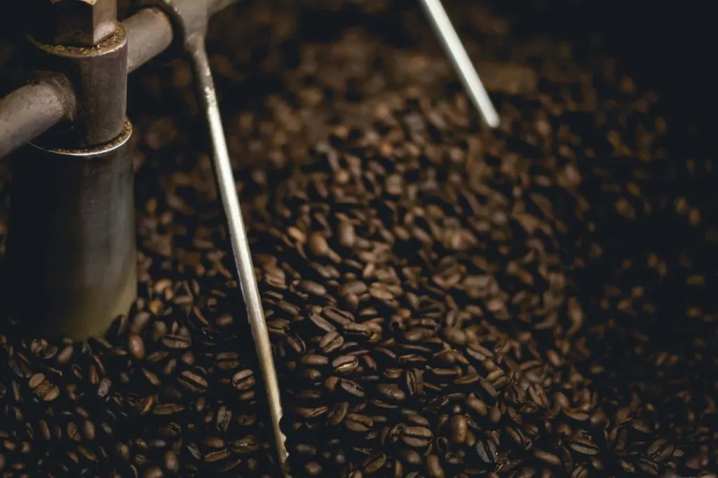Coffee beans being sorted. 