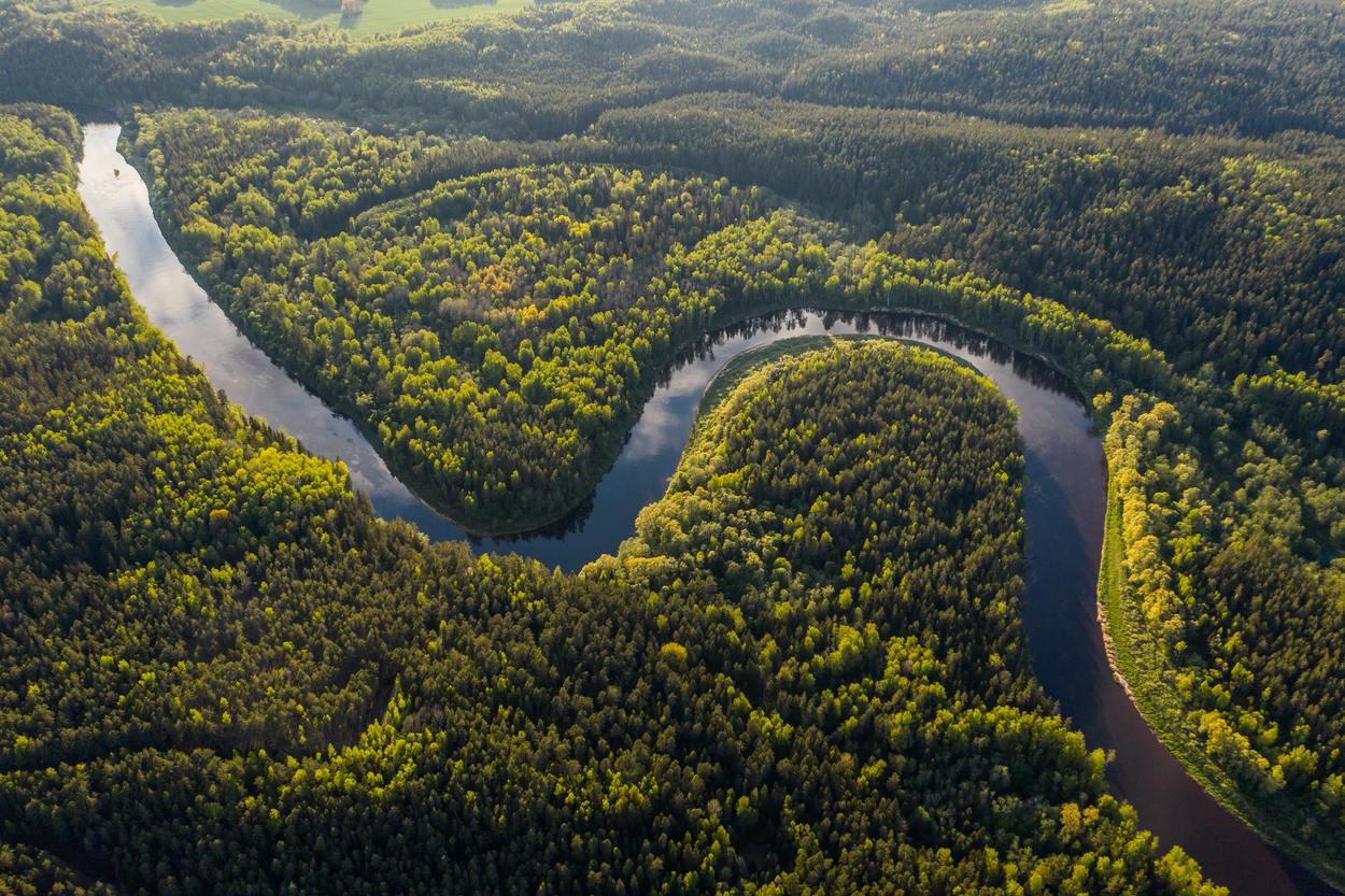 Amazon Rainforest aerial shot. 