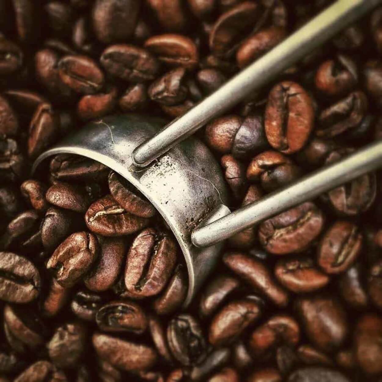 Coffee beans and a scoop.