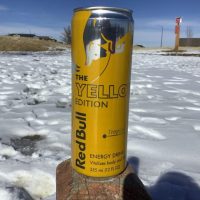 Red Bull Yellow Edition Energy Drink.