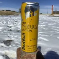 Red Bull Yellow Edition Energy Drink.